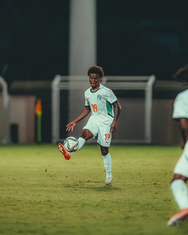 Hình ảnh cầu thủ Christ Inao Oulaï 1