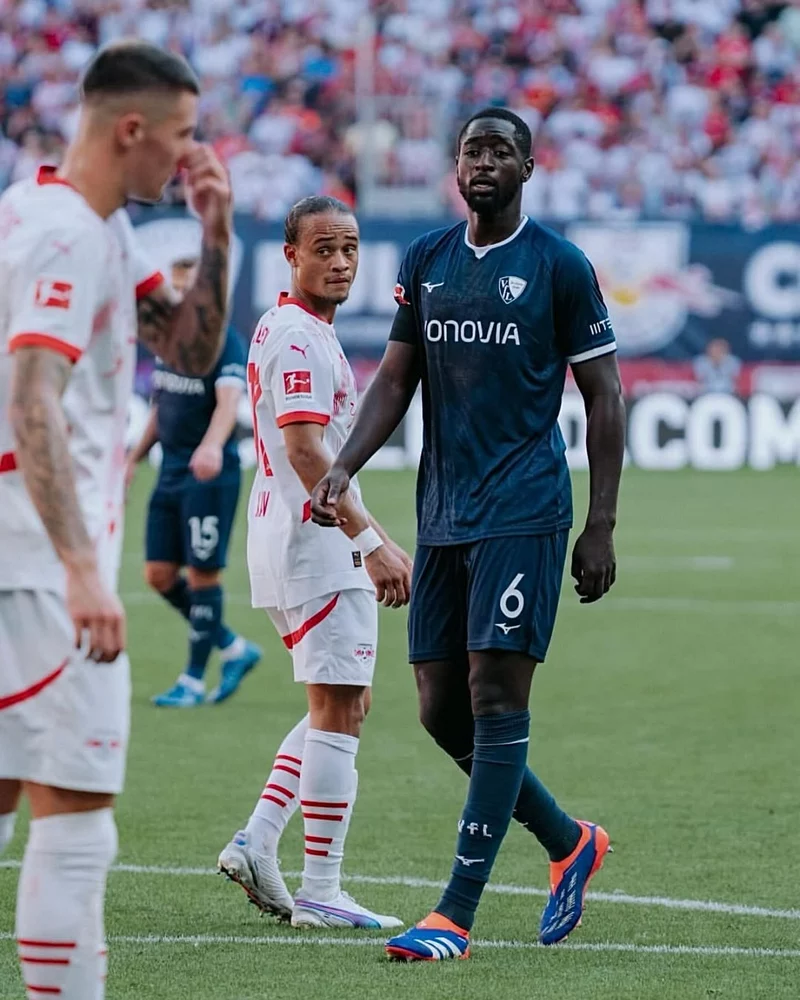 Hình ảnh cầu thủ Ibrahima Sissoko 4