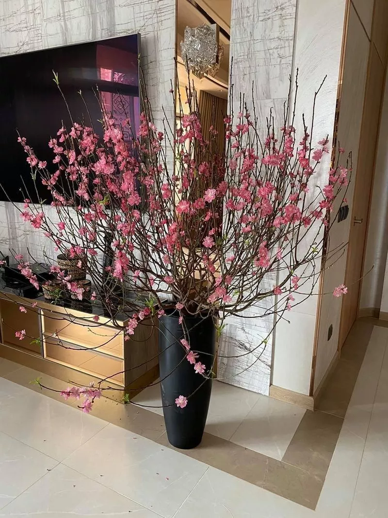 Hoa đào đẹp truyền thống trong văn hóa Việt