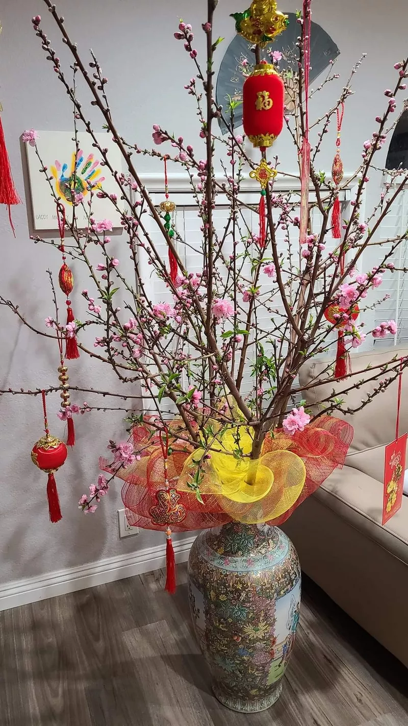 Hoa đào hồng biểu tượng mùa xuân Việt Nam