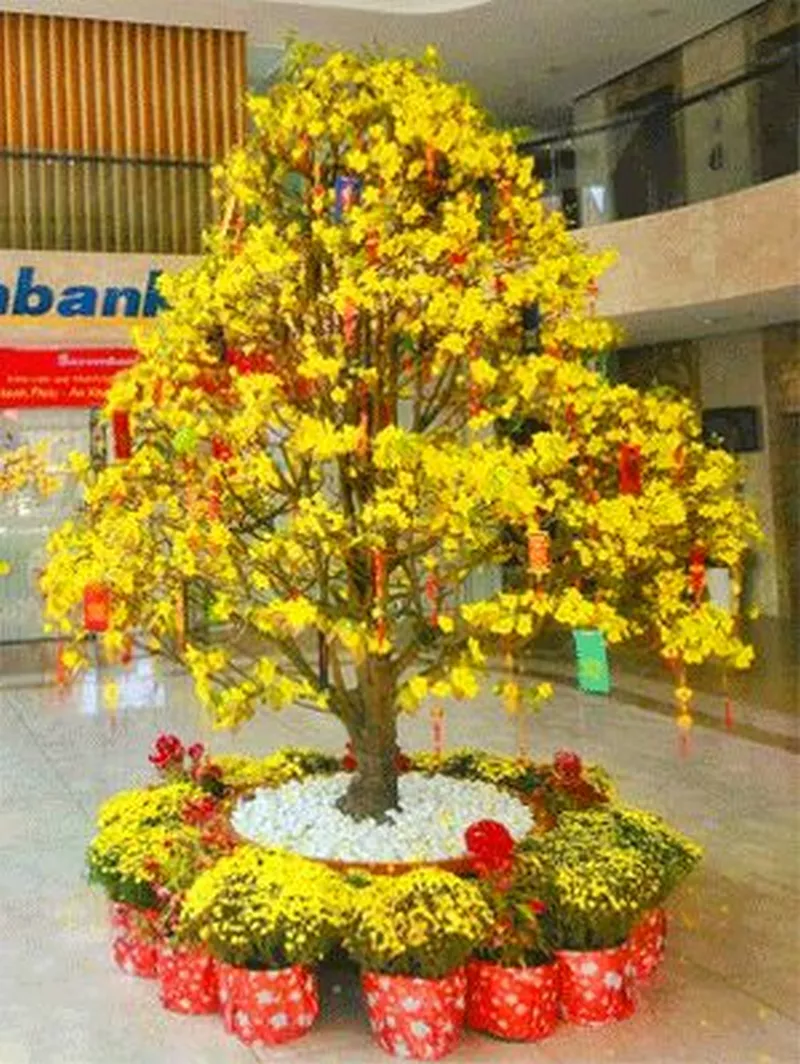 Hoa mai vàng kết hợp trang trí Tết cổ truyền