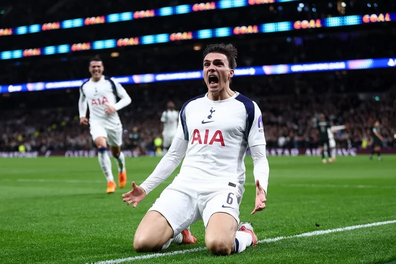 Hình ảnh cầu thủ João Palhinha 4