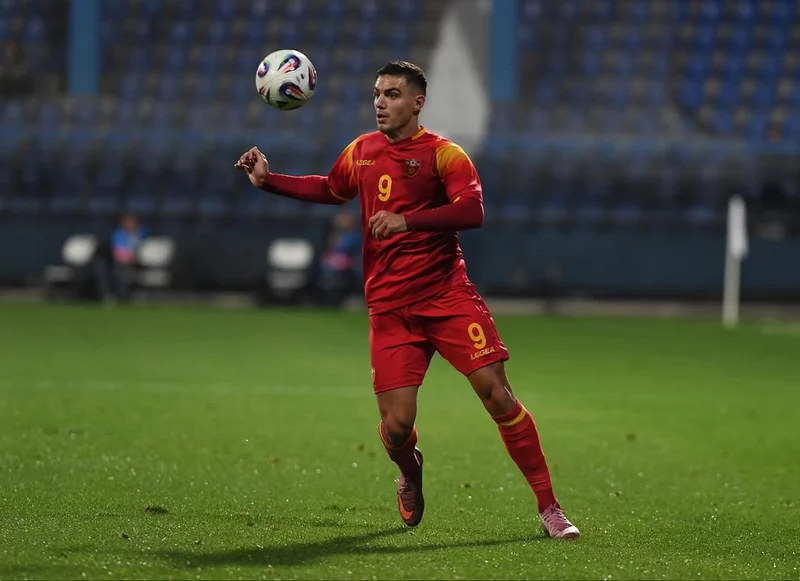 Hình ảnh cầu thủ Nikola Krstović 4